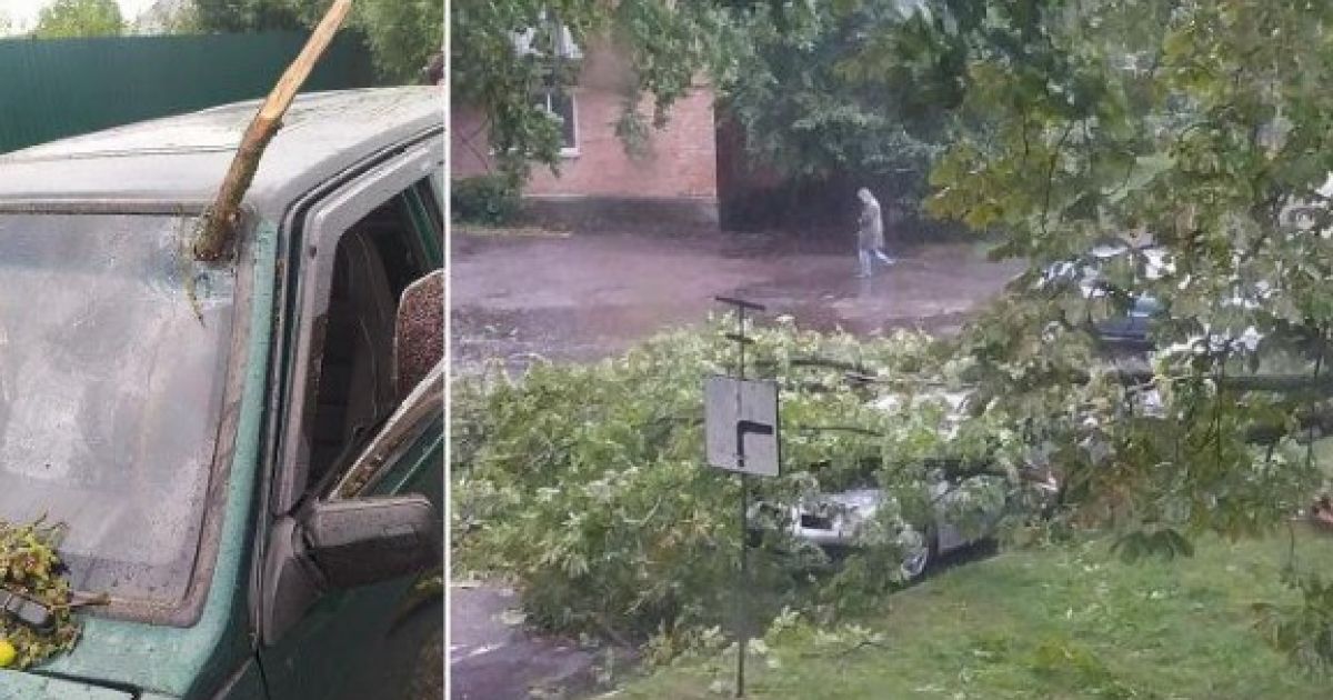 непогода