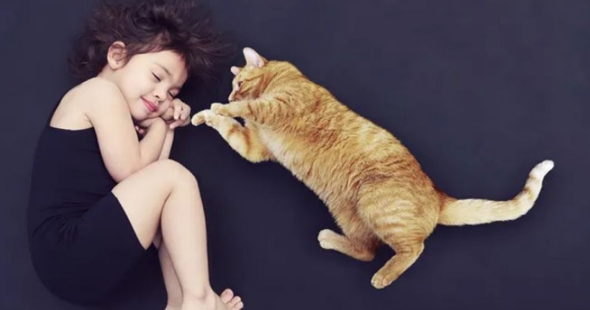 кошка