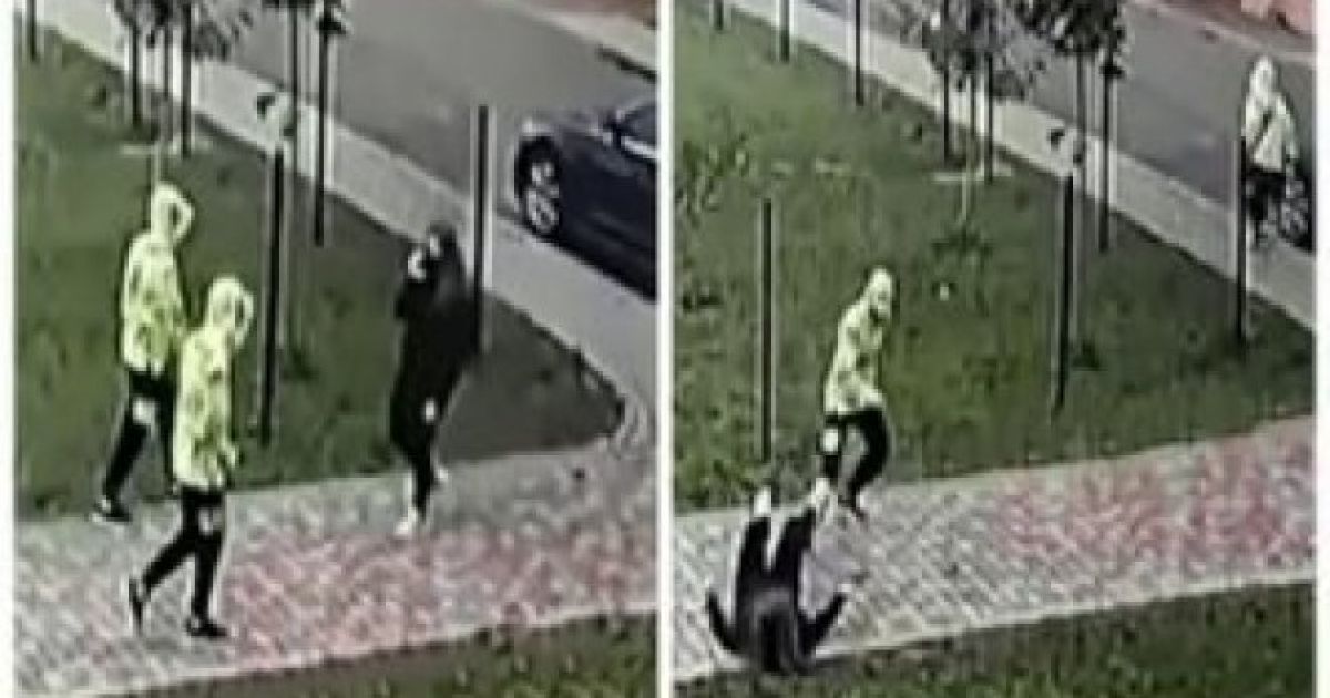 Нападение близнецов на женщину