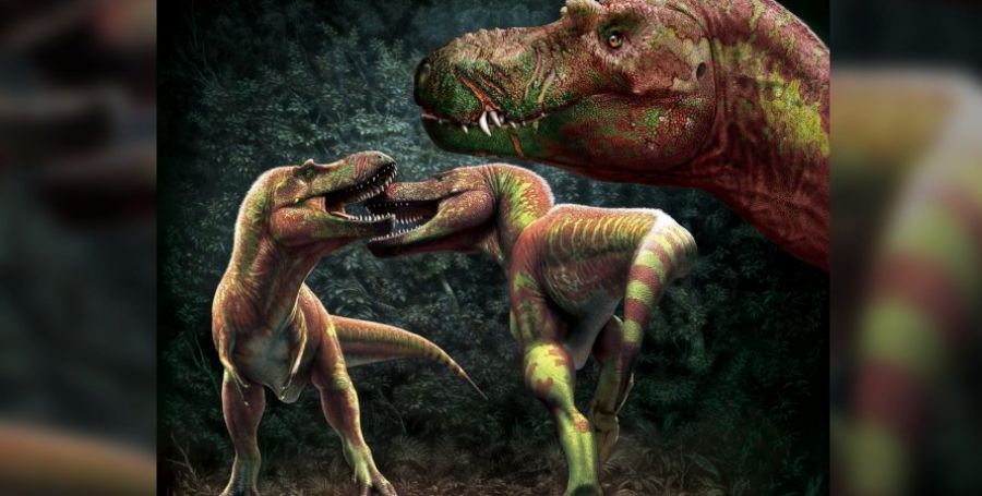 тираннозавры