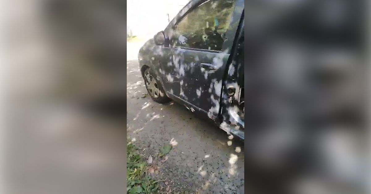 Место происшествия