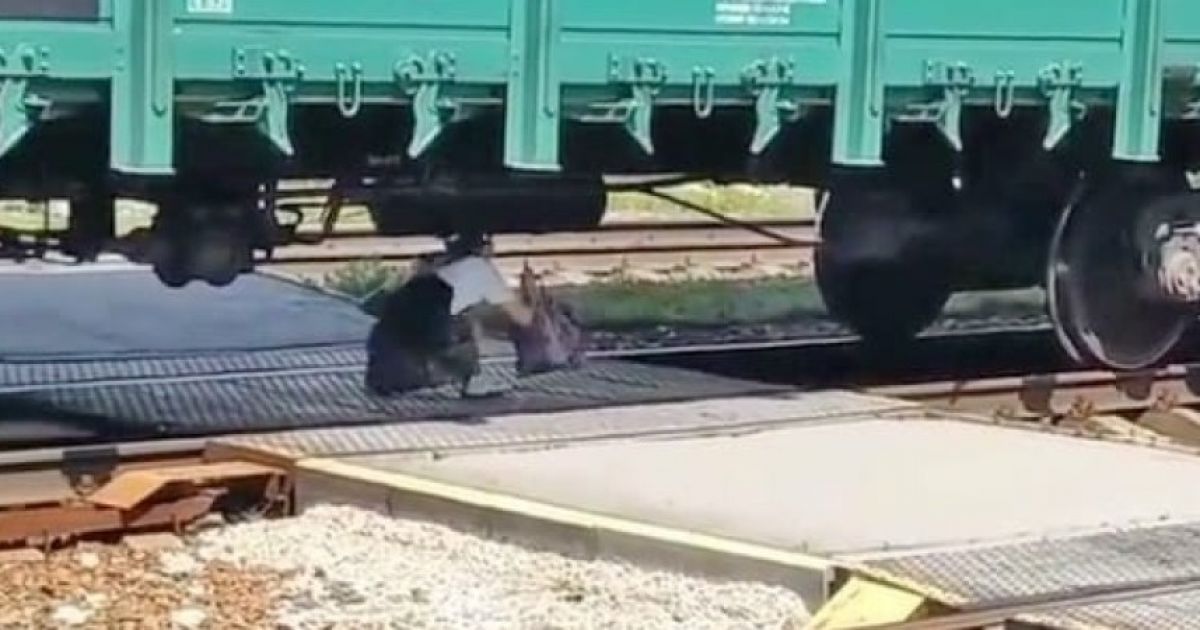 поезд