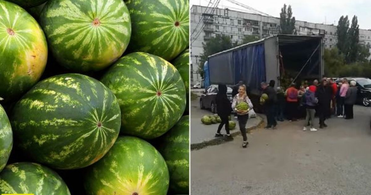 арбузы