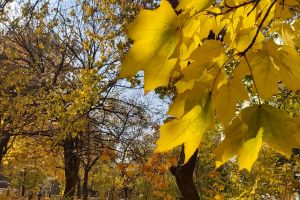 погода, фото Александры Будилки