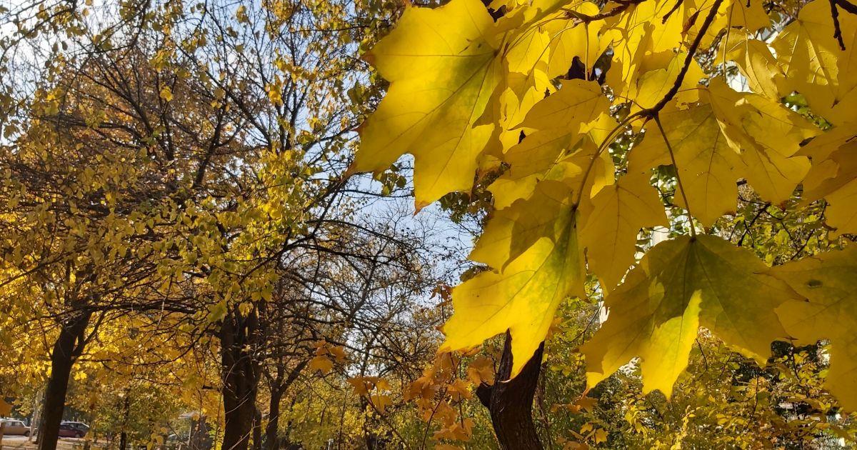 погода, фото Александры Будилки