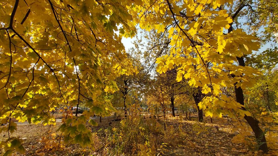 погода, фото Александры Будилки