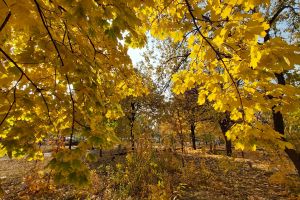 погода, фото Александры Будилки