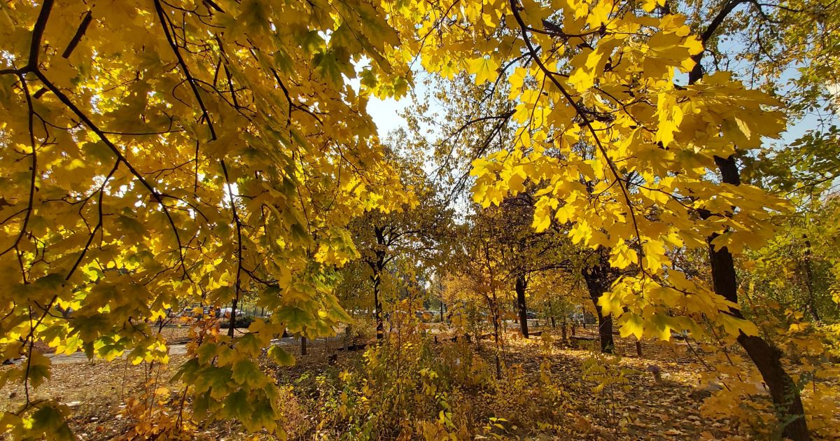 погода, фото Александры Будилки