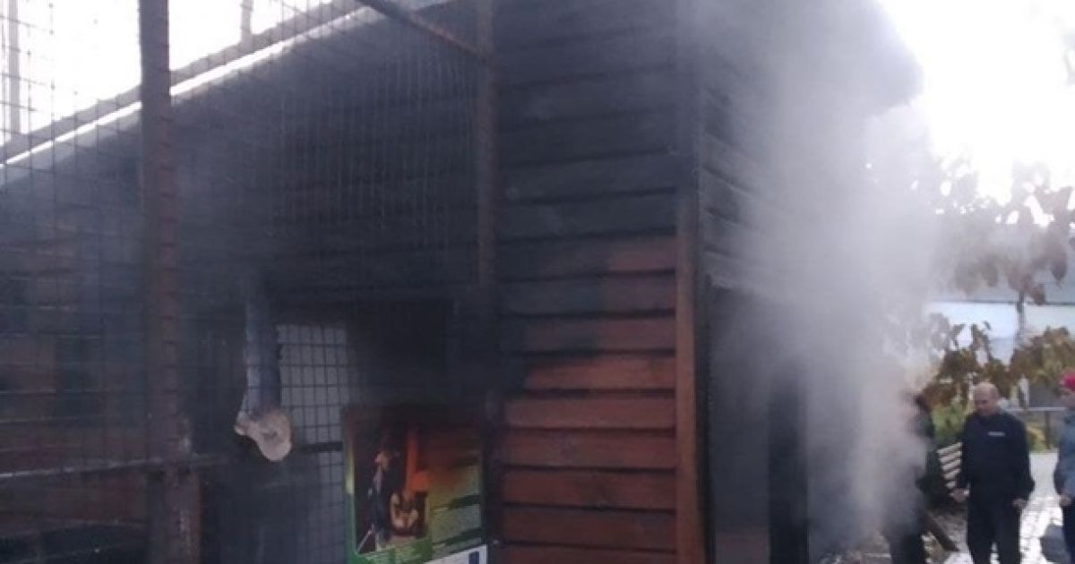Пожар в зоопарке