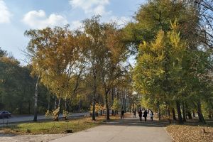 погода, фото Александры Будилки