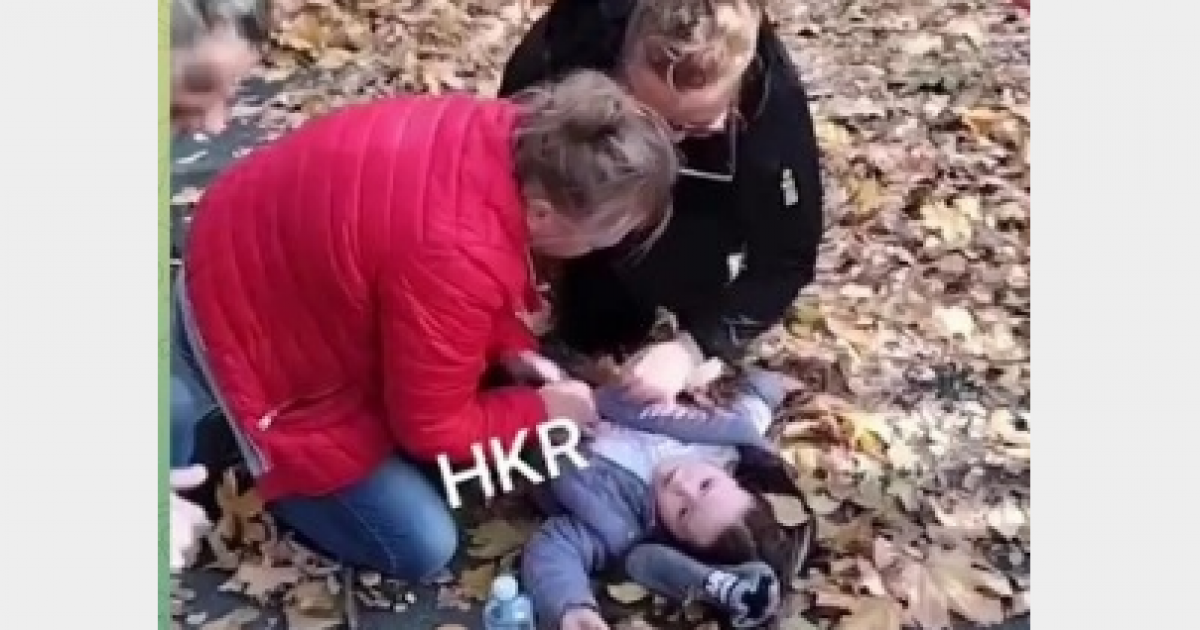 На девочку упало дерево