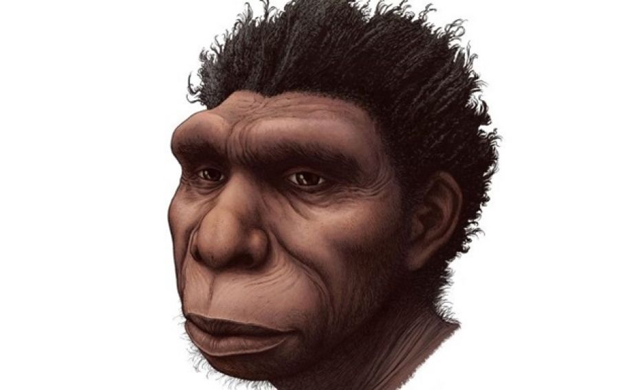 Homo bodoensis