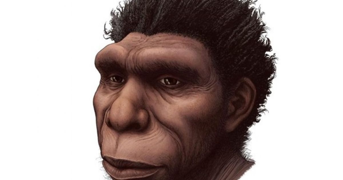Homo bodoensis