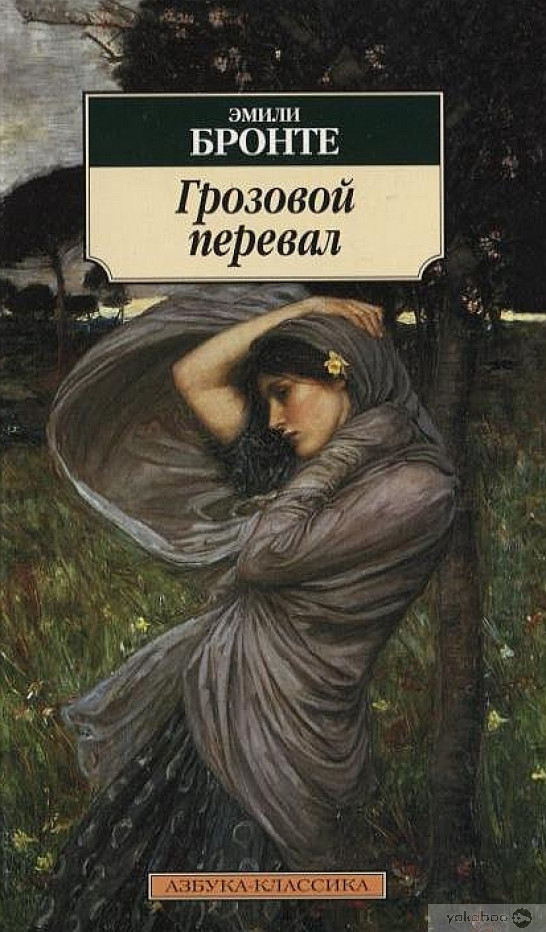 книга