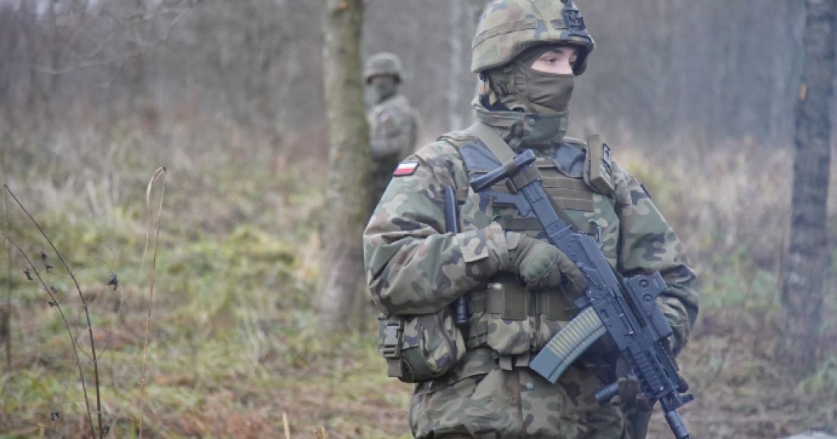 Польский пограничник