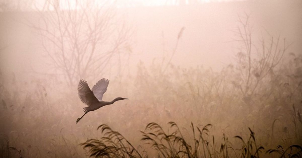осень