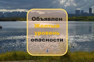 Желтый уровень опасности