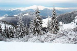 Карпаты