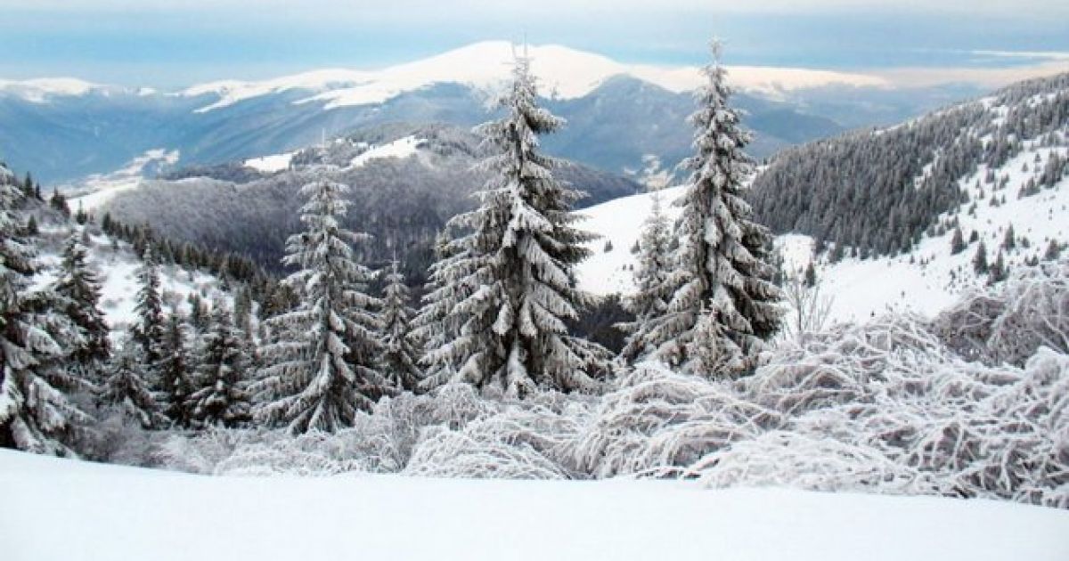 Карпаты