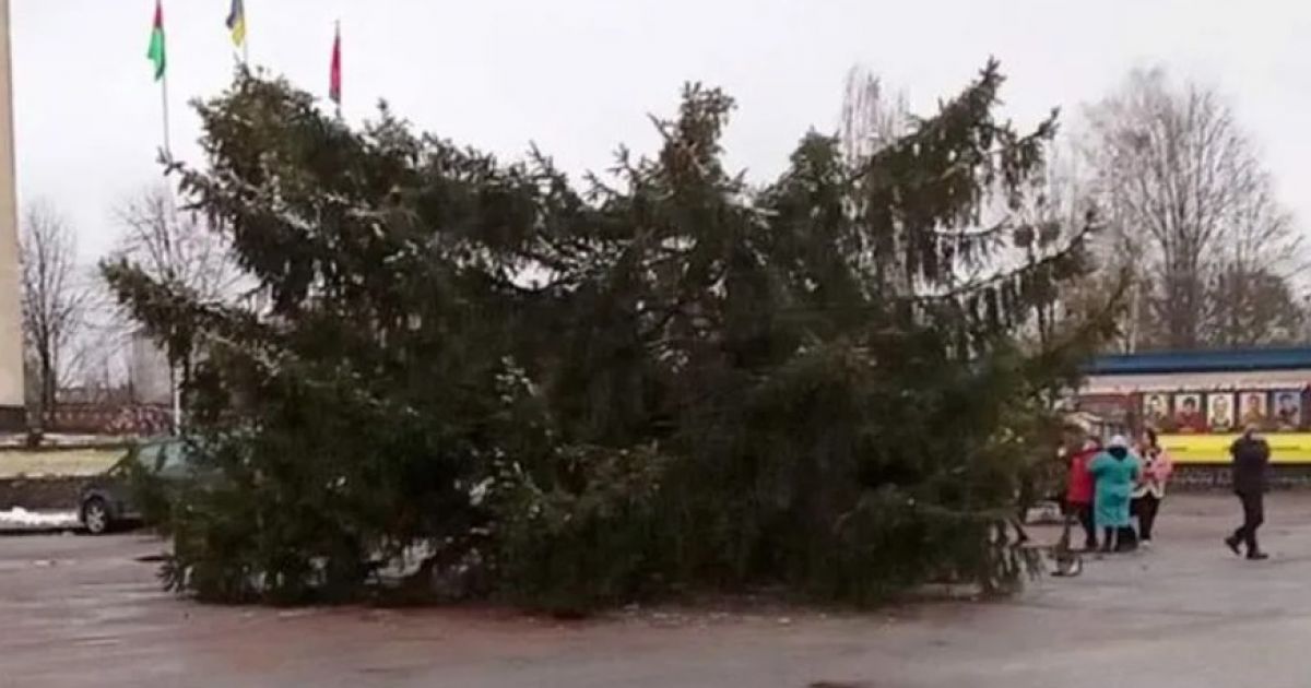 елка