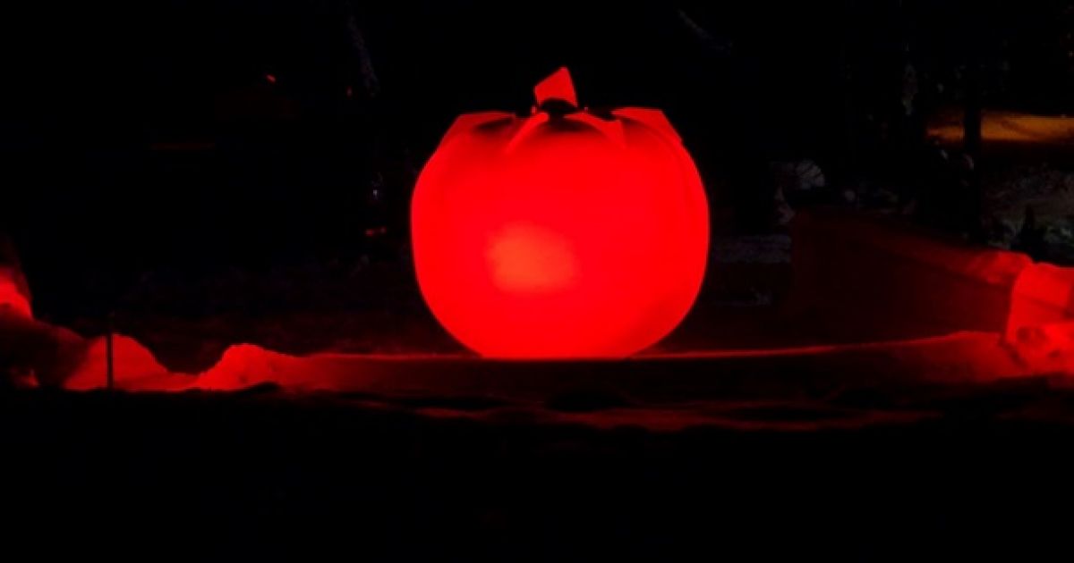 Новогодний томат