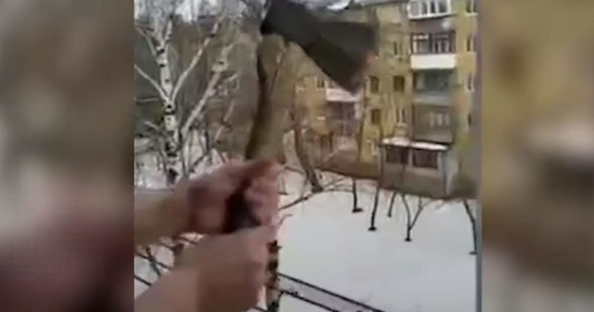 Скрин из видео