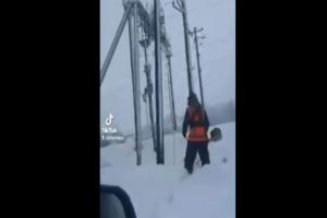 Укрзализныця