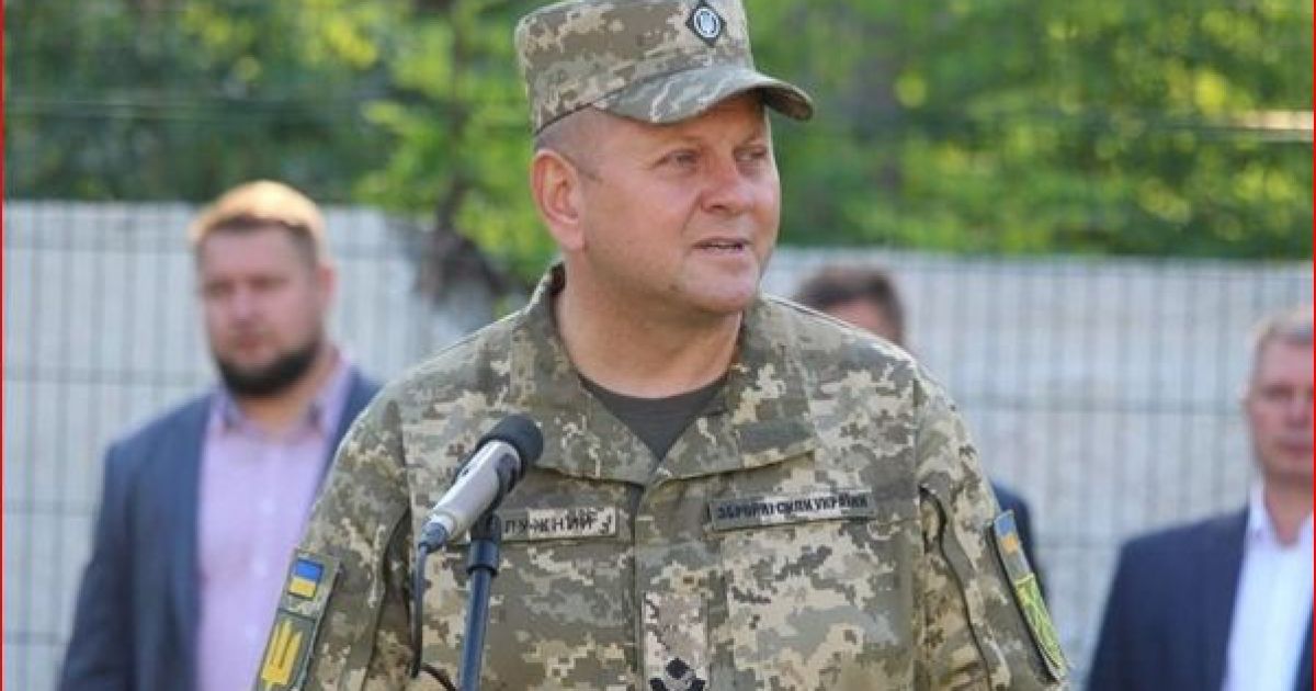 Залужный