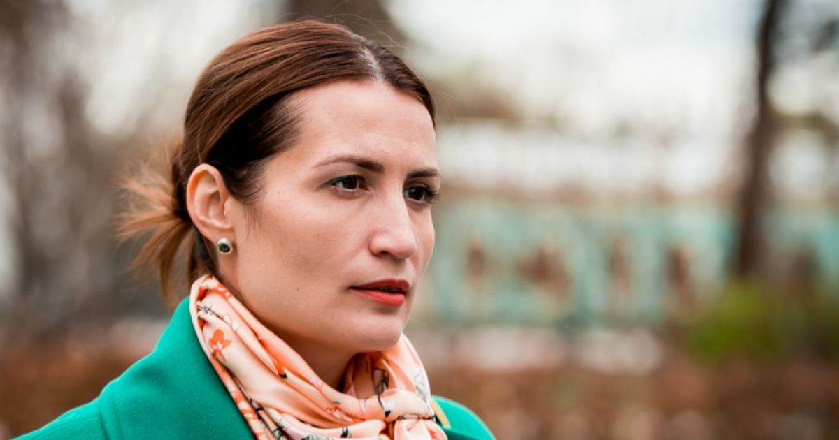 Стефанишина