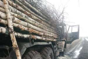 маскировка дровами
