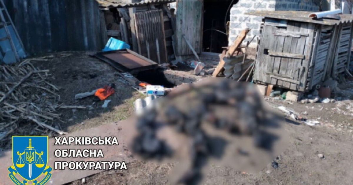 Подвал в селе Харьковской области