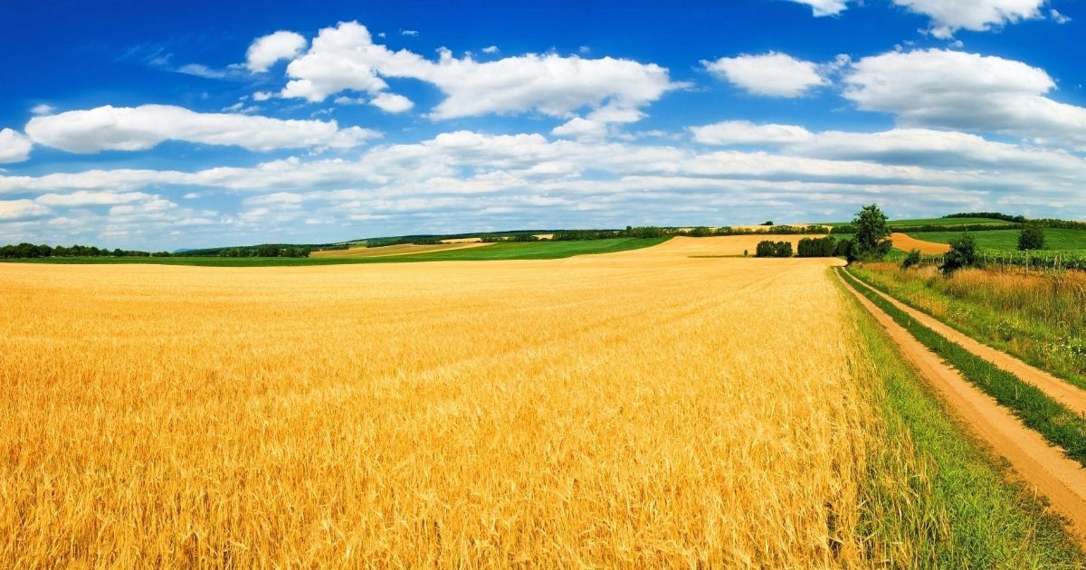Украинская земля