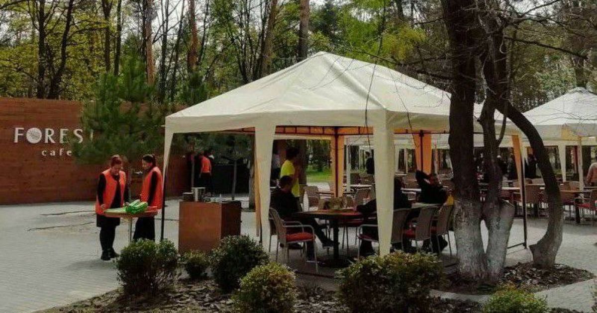 Forest cafe