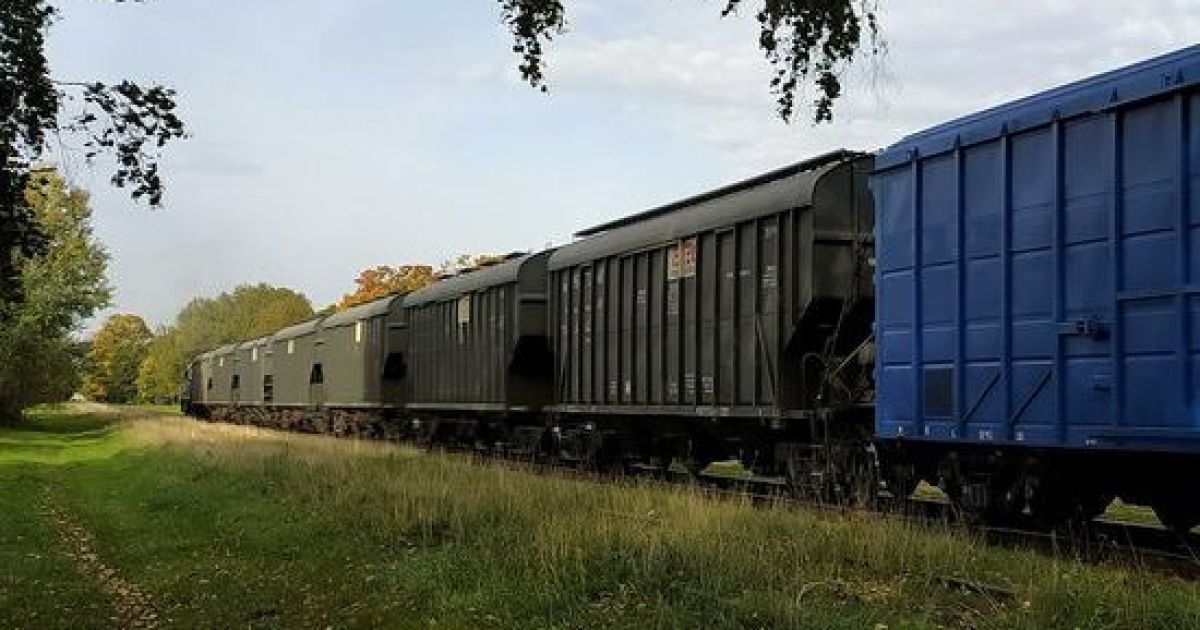 Зерно