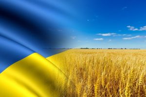 Поле