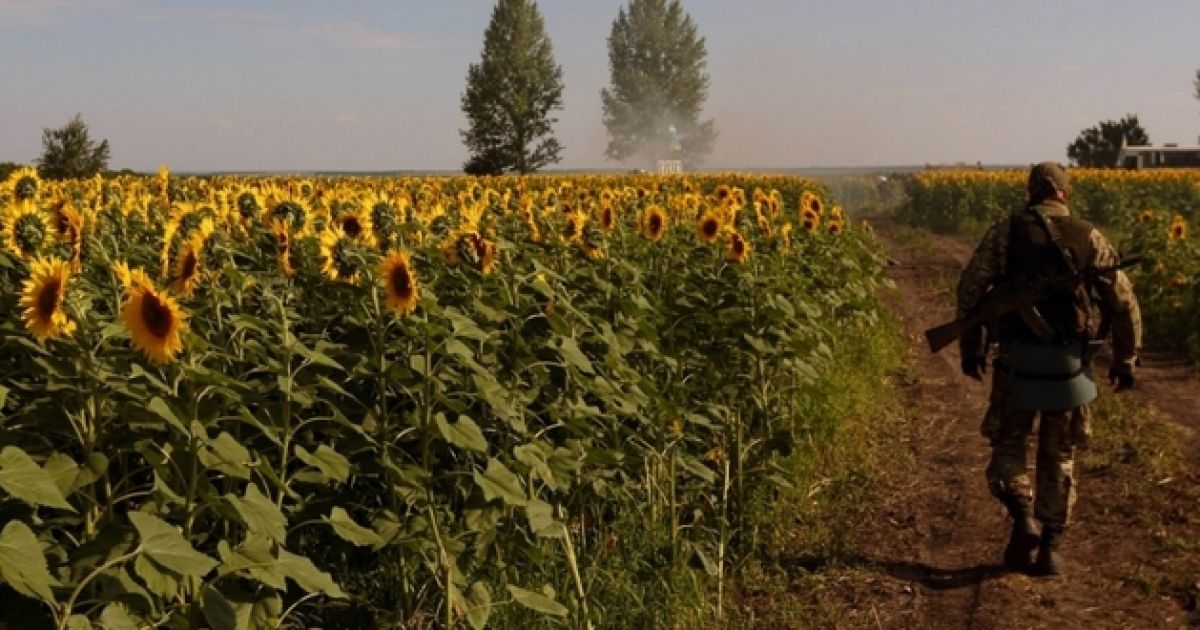 война