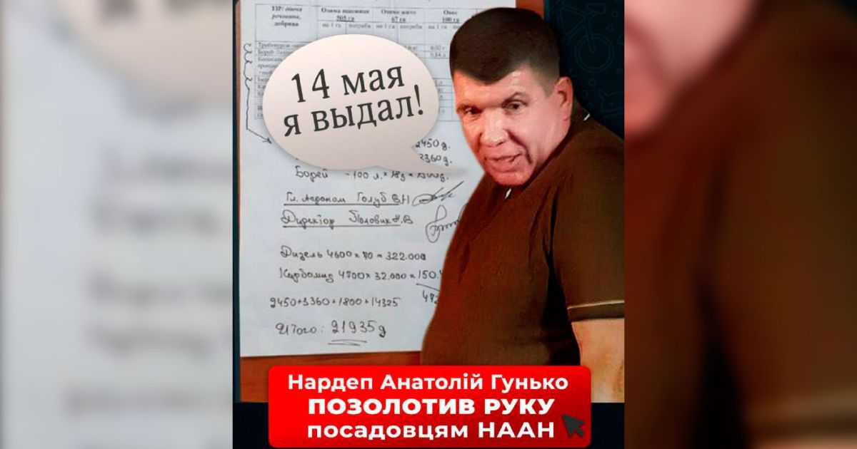 нардеп Анатолій Гунько спалився на переписці з незадекларованими фінансами