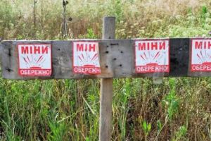 Мины