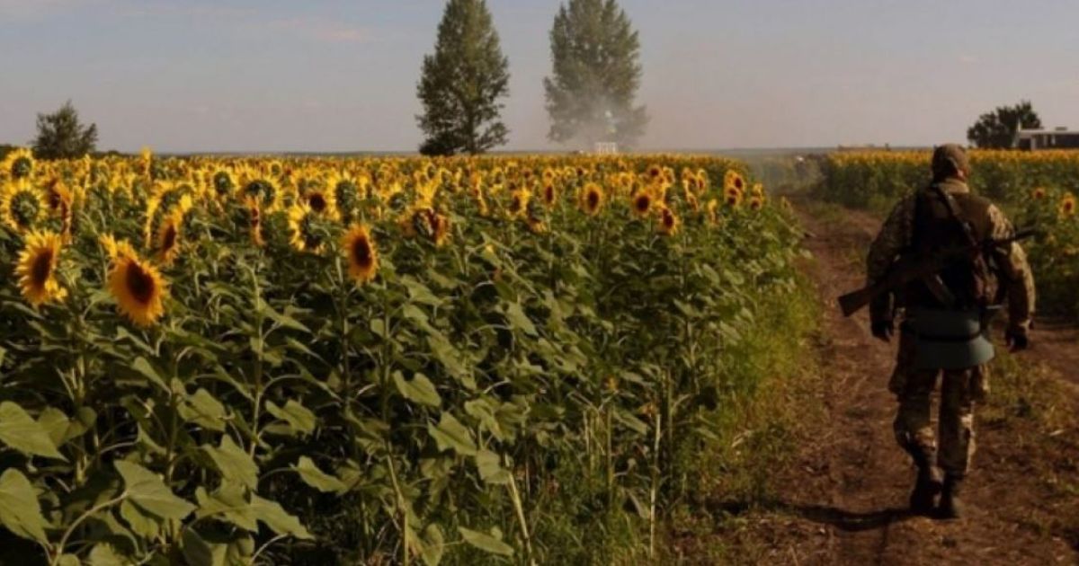 война
