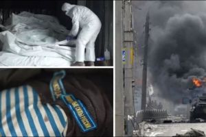 рупы в рефрижераторах