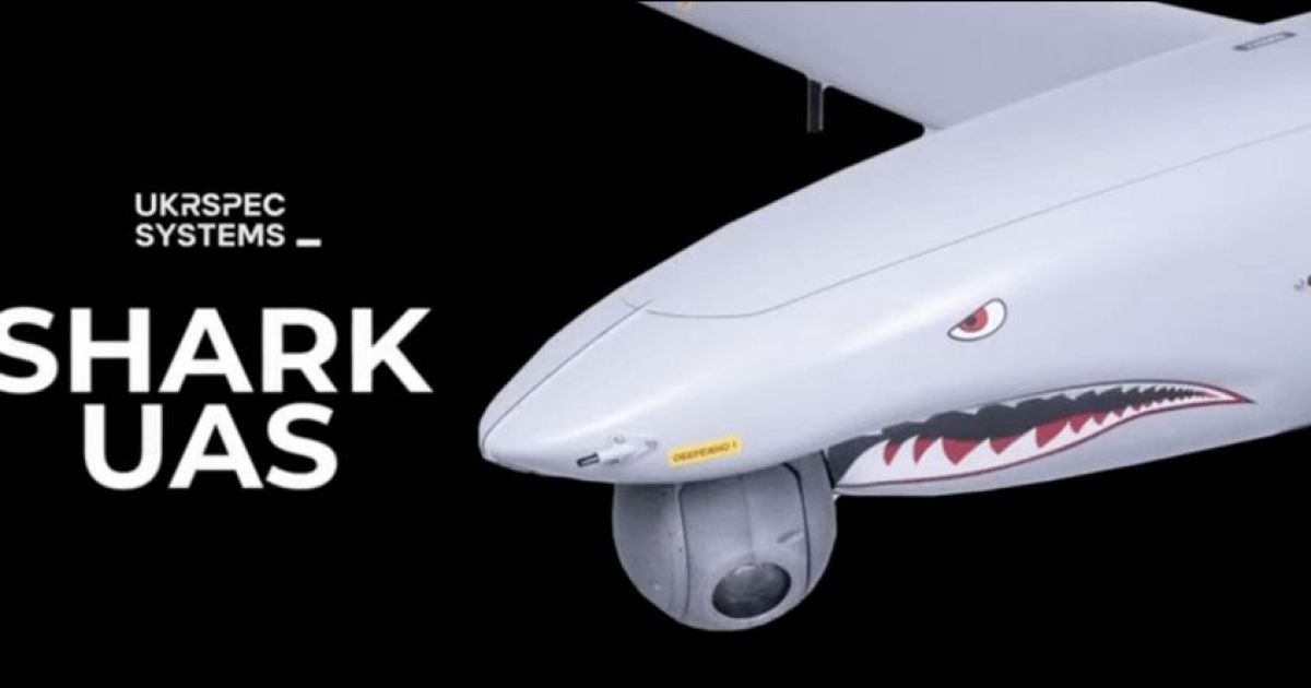 Shark