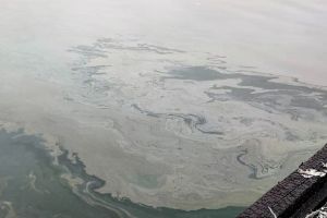 Экологическая угроза