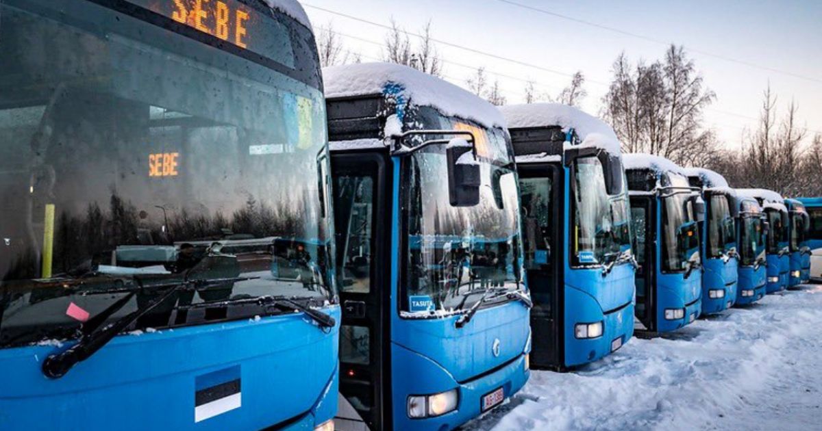 Автобусы