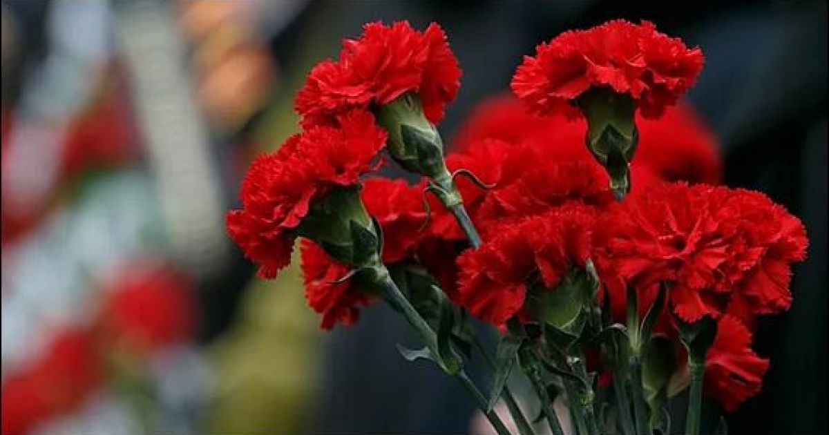 гвоздики