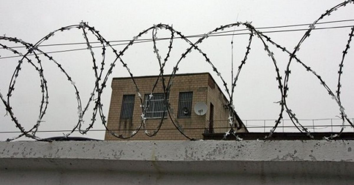 колония