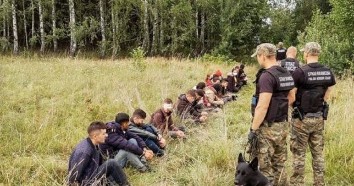 нелегалы