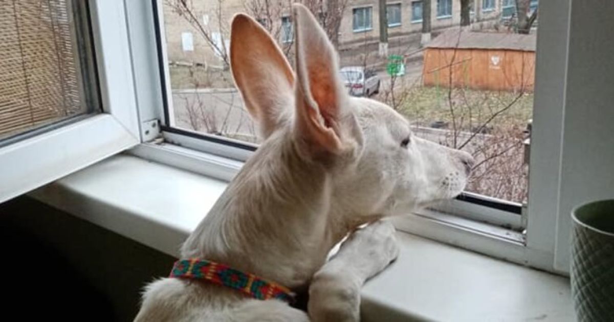 Погода
