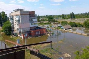 Олешки