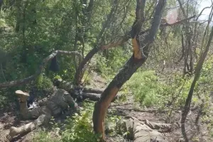 Бахмут