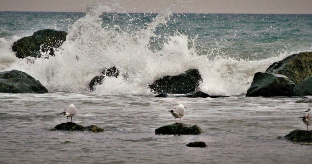 Черное море